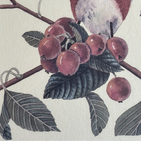 Peg Wheeler Hope Framed and Matted Bird Art Print - Picture 5 of 11